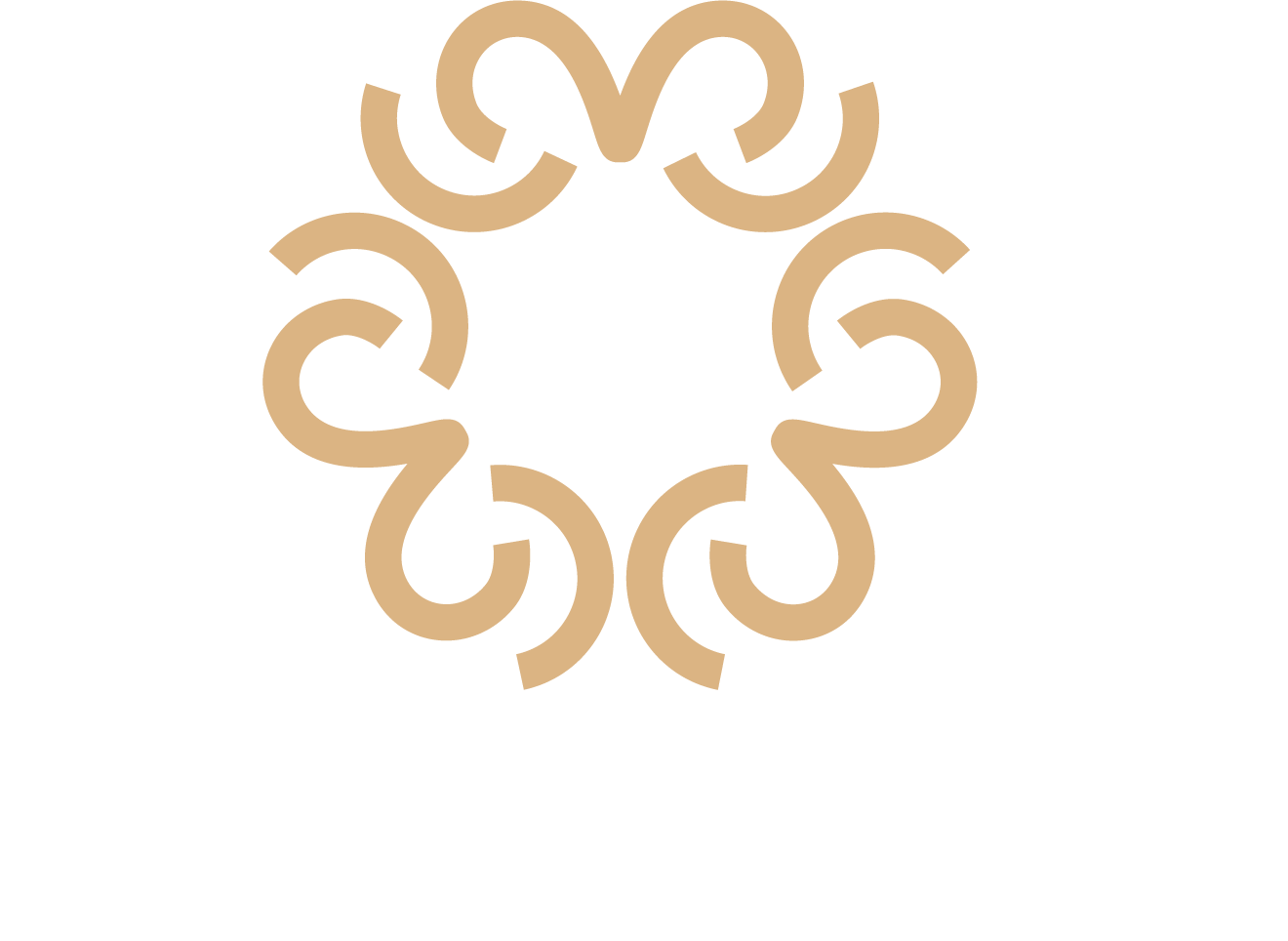 Mc Wellness